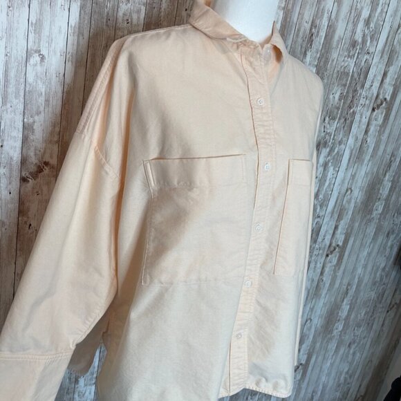 Everlane Peach Relaxed Fit Oxford Shirt size Large - Picture 2 of 4